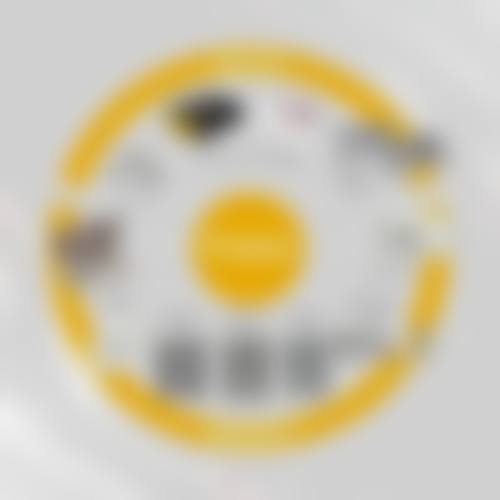擅长项目详解