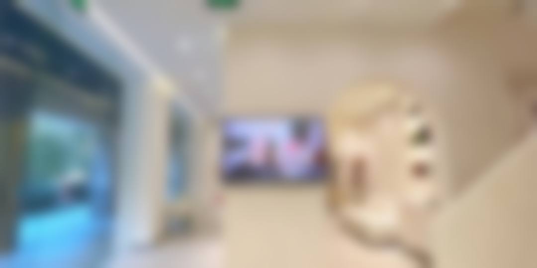 二、陈明珠擅长项目