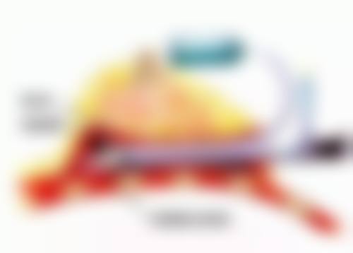 六、杨玉杰真实的患者评价