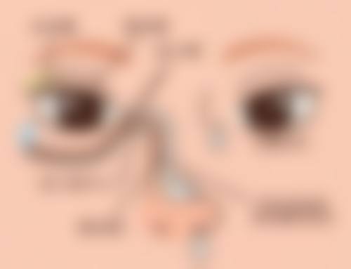 医生资质介绍