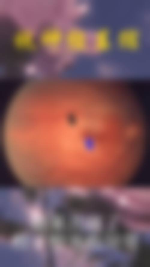 诊疗特色总结