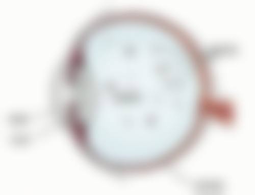 常见问题解答(FAQ)
