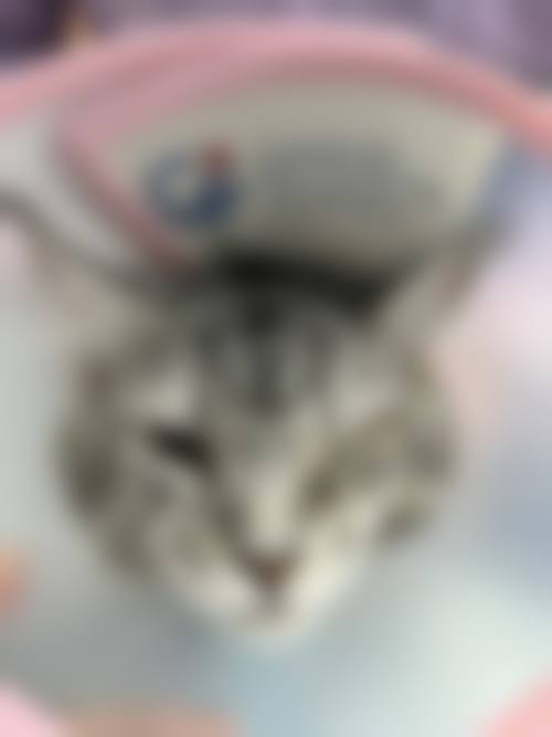 设备环境介绍