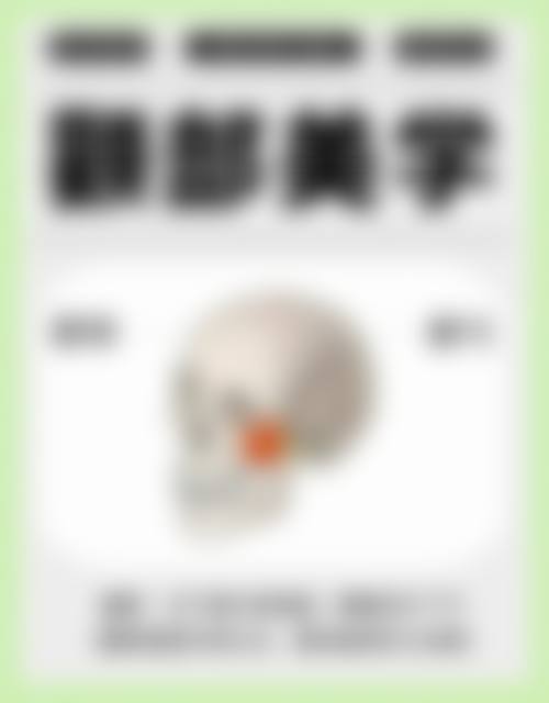 擅长项目详解