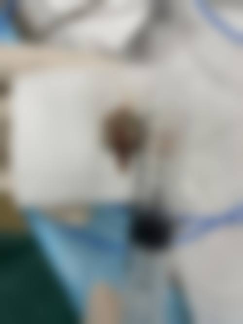 常见问题解答 (FAQ)