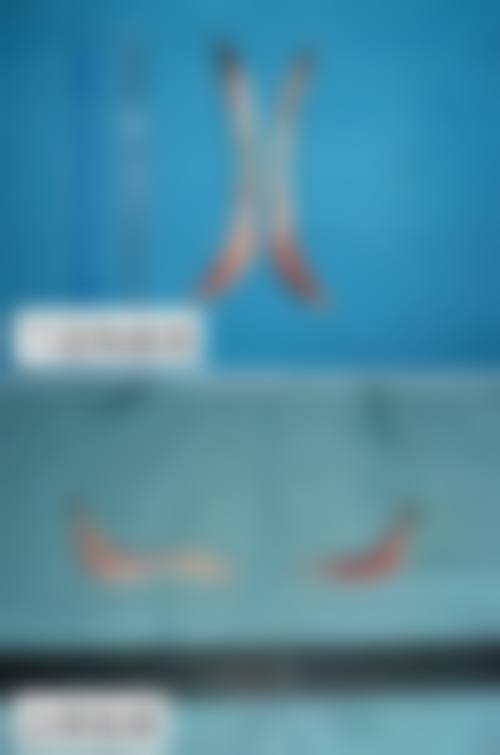 三、呼和浩特梦思整形医疗美容诊所诊疗项目有哪些?