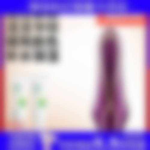 擅长项目详解