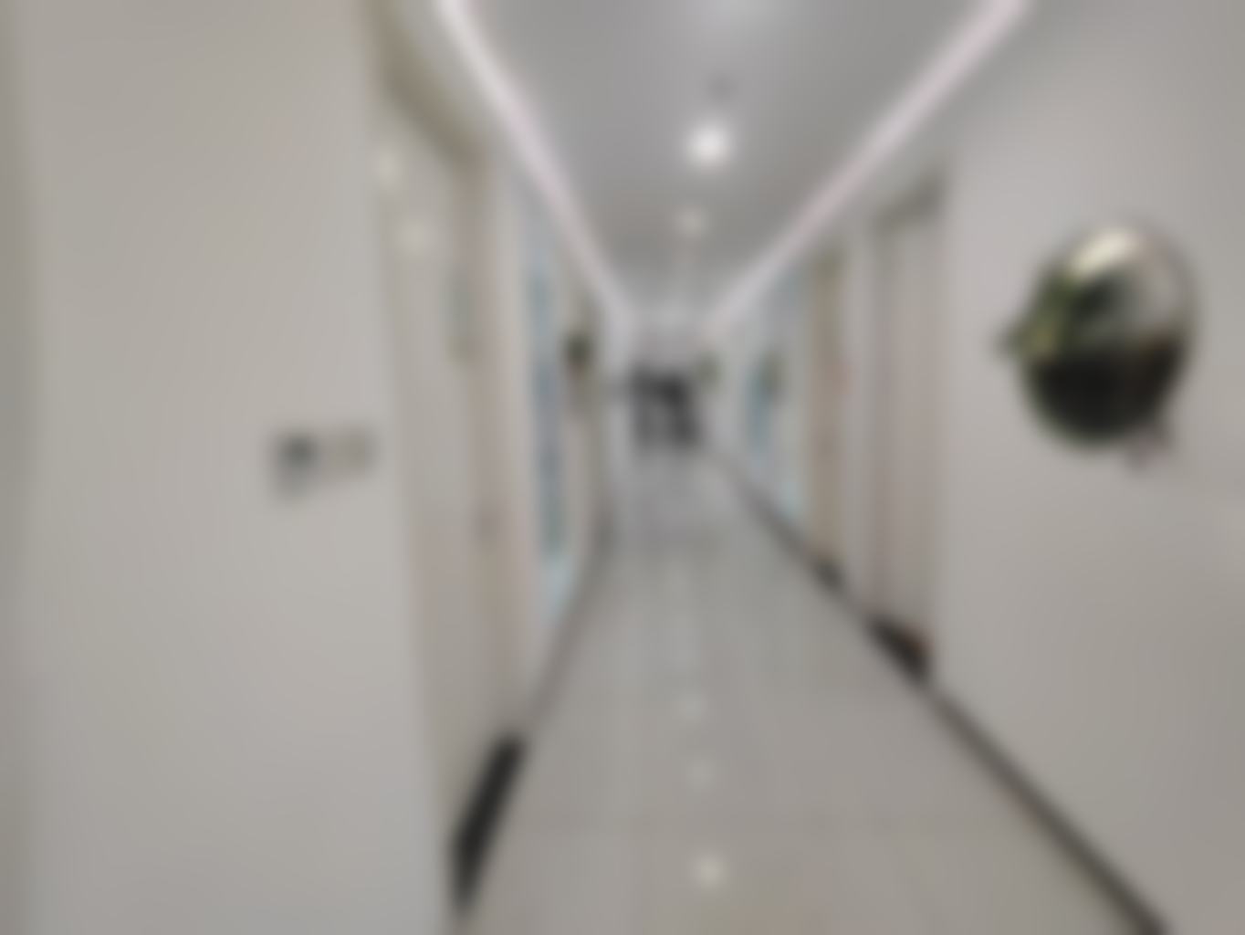 五、真人实例与结果分析