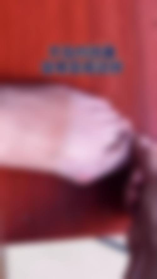 预约优惠活动