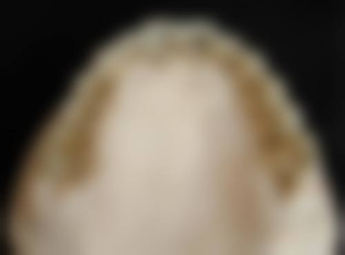 全程服务保护患者权益