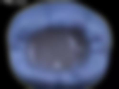 常见问题解答 (FAQ)