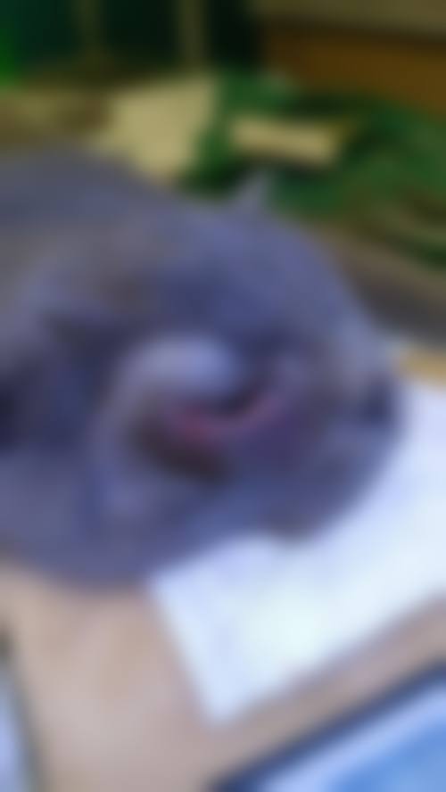 设备环境介绍:精细检测与精良手术平台