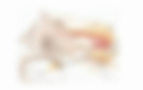 二、埋线双眼皮能恒久吗?不同观点碰撞
